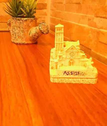 Perfecta Laetitia Assisi *