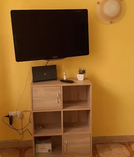 Perfecta Laetitia Assisi *