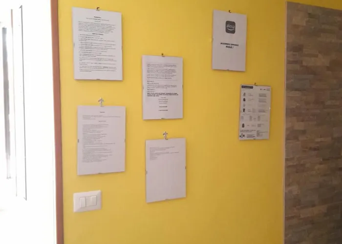 Perfecta Laetitia Assisi *